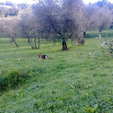 La Valle Dei Gobbi Konukevi *