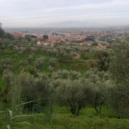 La Valle Dei Gobbi *