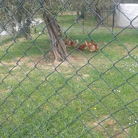Konukevi La Valle Dei Gobbi *